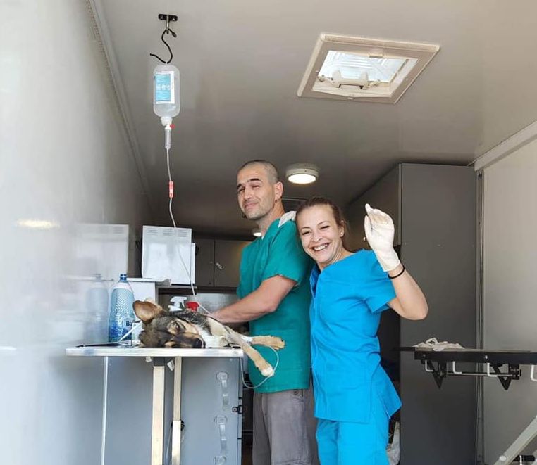 Animal Life Sibiu a dat startul caravanei castrărilor gratuite, la Micăsasa