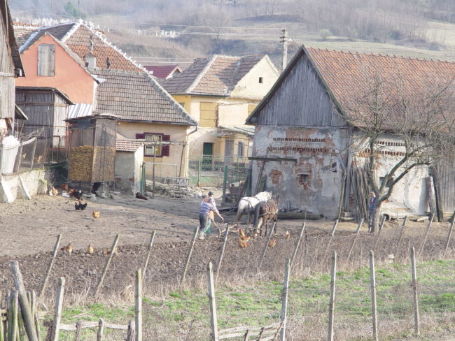 Populație în scădere, în județul Sibiu