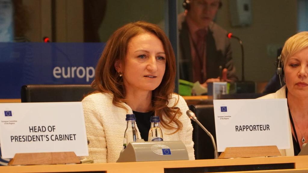 Vot pozitiv în plenara Comitetului European al Regiunilor pe Avizul coordonat de Daniela Cîmpean, Președinta CJ Sibiu (CP)